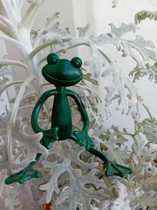 Rana di gomma verde