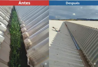 Servicios de reformas y pintura
