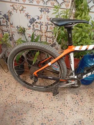 Bicicleta de montaña carbono