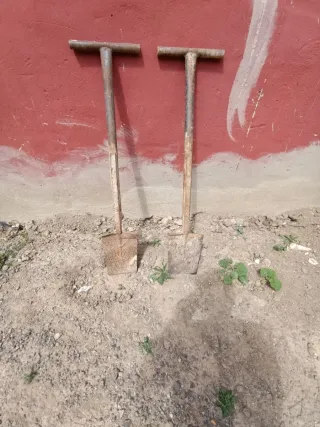 2 Palas para arrancar palmeras