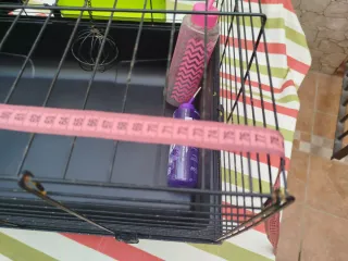 Jaula para animales con accesorios.