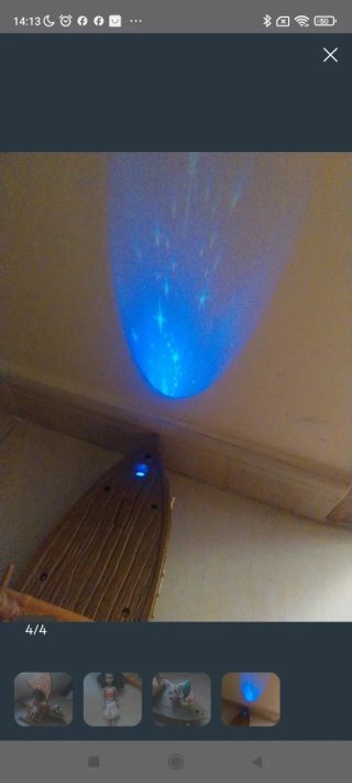 Barco Vaiana con luz, Vaiana y animales