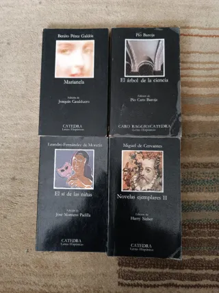 Lote de libros (ver precios en la descripción)