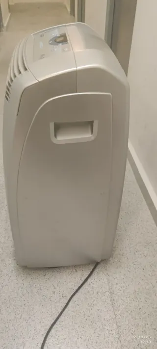 Pingüino De'Longhi