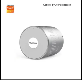 Cerradura Inteligente WeHere M532