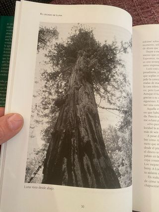 Julia Butterfly Hill./ El legado de luna