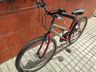 Bicicleta MTB 26