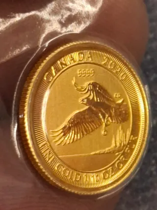 Moneda Oro canada 1/10 oz