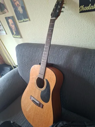 Guitarra Samick LW015GE