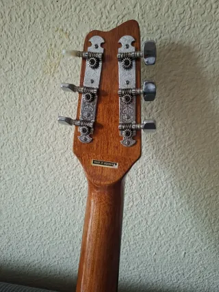 Guitarra Samick LW015GE