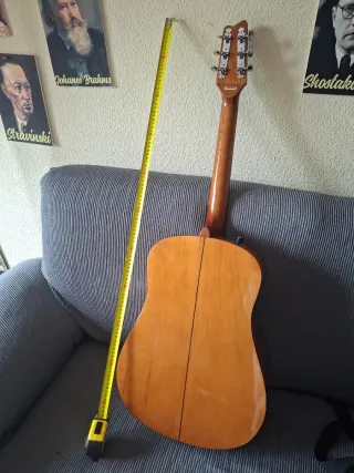 Guitarra Samick LW015GE