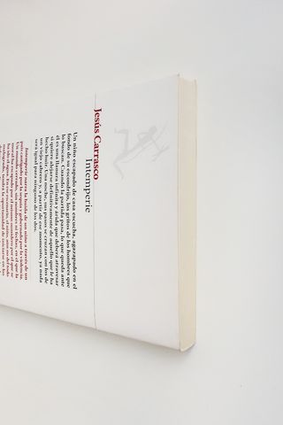 Libro Intemperie de Jesús Carrasco Ed Seix Barral