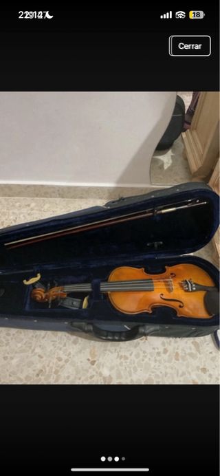 Violín con estuche y arco