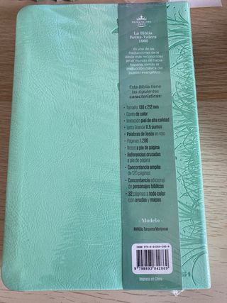 Biblia RVR 1960 letra grande