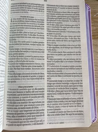 Biblia RVR 1960 letra grande