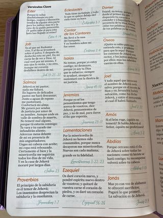 Biblia RVR 1960 letra grande
