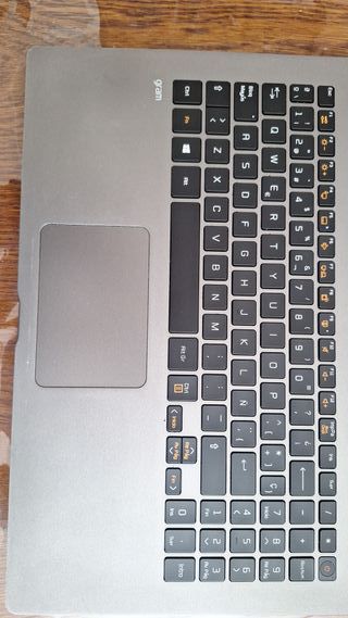 LG Gram 15Z95N Gris/Plateado
