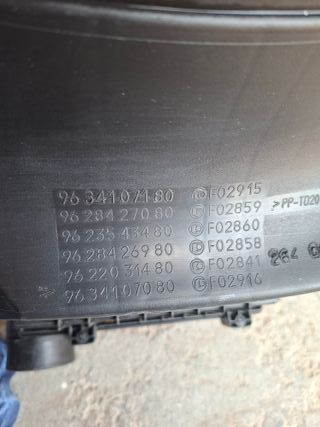 Caja Filtro Aire Citroen Xsara Picasso 2.0 HDI