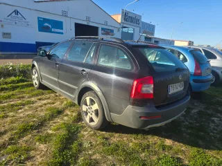 Skoda Scout 2013