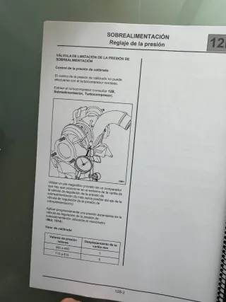 Manual Taller Renault Megane 2 RS Sport R26 R25