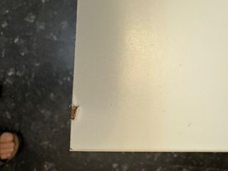 Comodino Malm IKEA 2 cassetti bianco