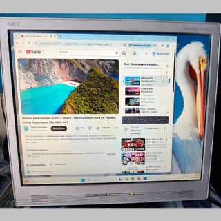 Monitor NEC 17” AccuSync LCD71VM + Accesorios