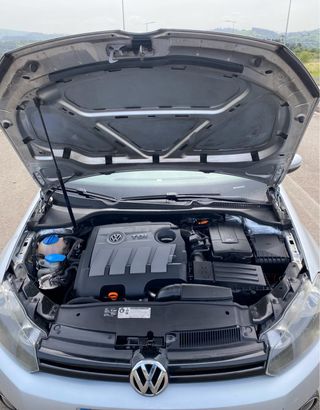 Volkswagen Golf 2010 Blue Motion