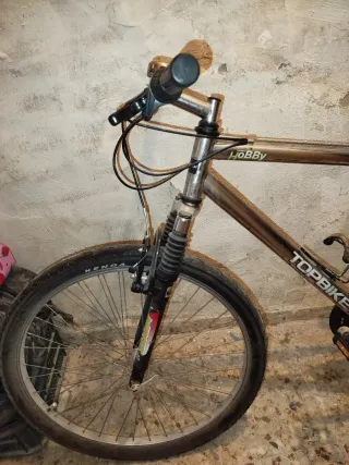 Bicicleta de montaña TOPBIKE