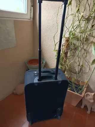 Maleta de viaje negra