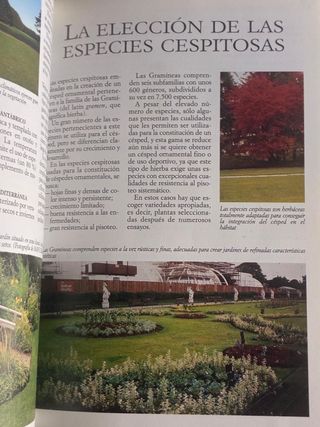 3 libros jardinería: césped, herramientas y cactus