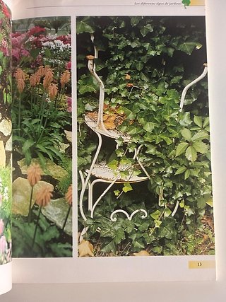 3 libros jardinería: césped, herramientas y cactus