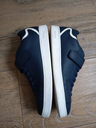 Deportivas nº 37