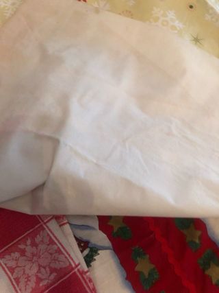 Tovaglia natalizia con Babbo Natale e alberi di Natale