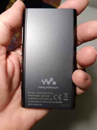 Walkman Sony NW-A55L Negro