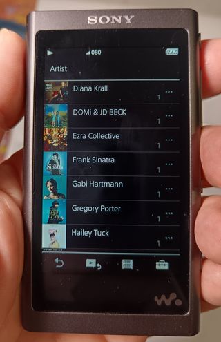 Walkman Sony NW-A55L Negro