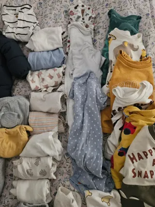 Lote Ropa Bebé 9-12 Meses