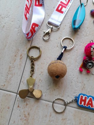 Lote de llaveros variados