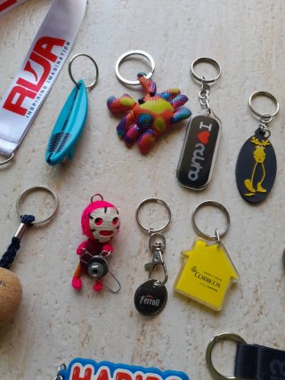 Lote de llaveros variados