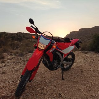 Honda crf 300L