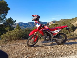 Honda crf 300L