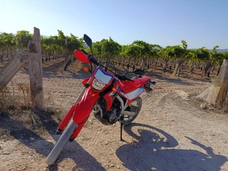 Honda crf 300L
