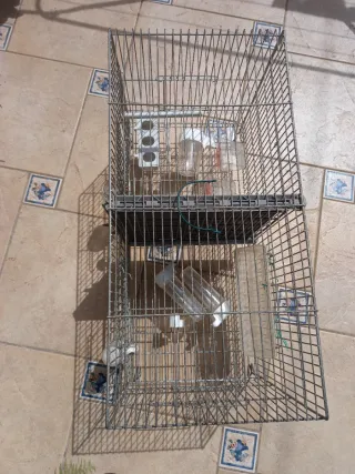 Jaula doble cría metálica