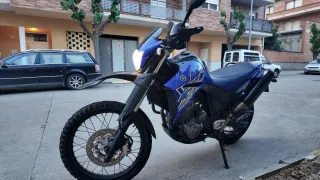 Yamaha XT660R 2009 C-Etiqueta