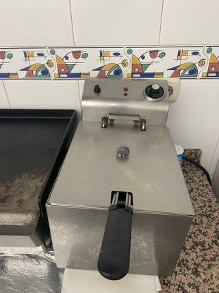 Freidora profesional