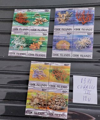 (nu242/248a)COCOS-COOK   DEF. Sconto 50%  (nu242)C