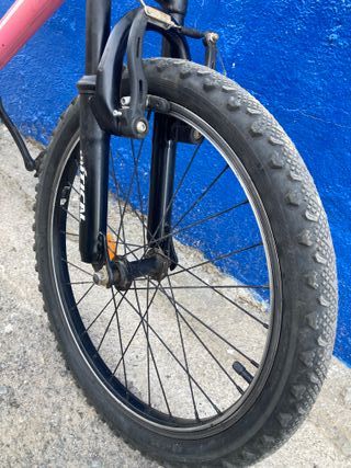 Bicicleta Montaña Infantil Rodado 20
