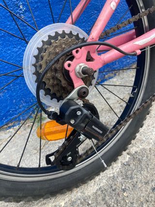 Bicicleta Montaña Infantil Rodado 20