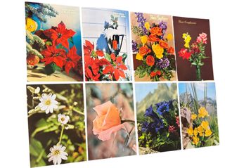 23 cartoline fiori Edizioni Saemec