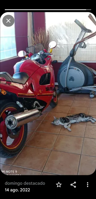 Suzuki GSX 600 Roja