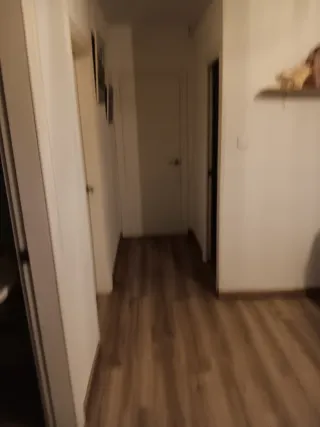 Piso